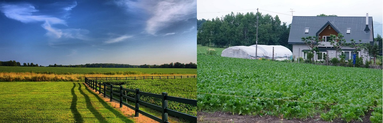 5df44d7eb0ebe715873b717c-muadatnongnghieproixaynhacap45-1584347084