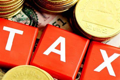 Vì sao dù chưa từng làm qua một công việc nào cả, nhưng lại có mã số thuế cá nhân?