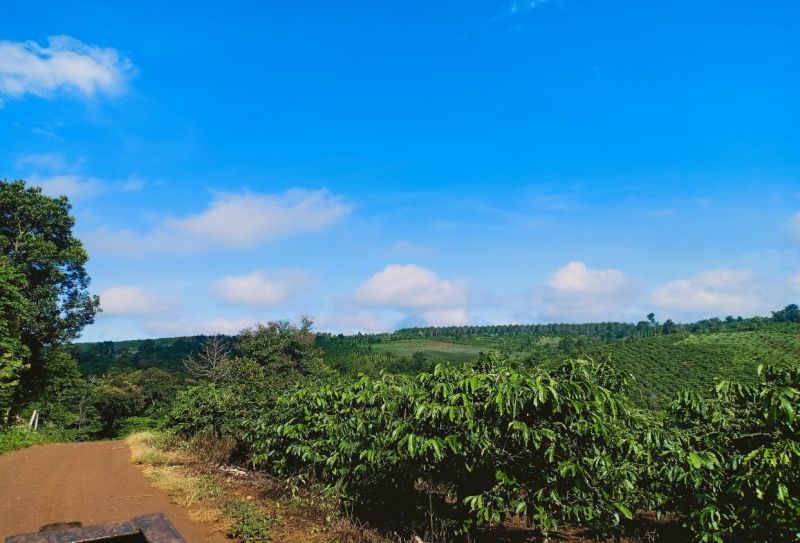 Thu hồi đất trong trường hợp chưa có giấy chứng nhận quyền sử dụng đất thì có được đền bù hay không?