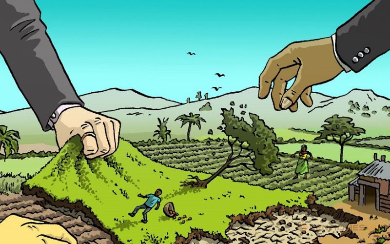 Thủ tục chuyển mục đích sử dụng đất nông nghiệp sang đất thổ cư